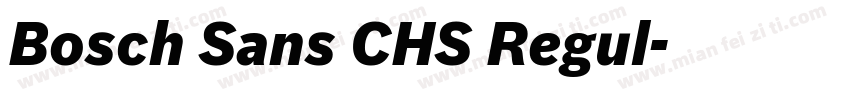 Bosch Sans CHS Regul字体转换